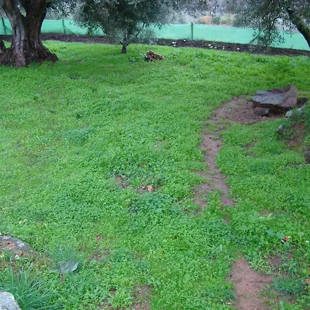 Manchovilla *