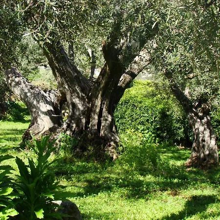 Country house Manchovilla *