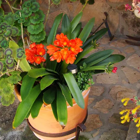 Country house Manchovilla